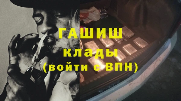 прущие грибы Орск