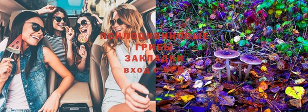 ECSTASY Краснослободск