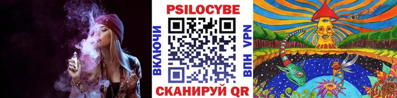Псилоцибиновые грибы Cubensis  Власиха 